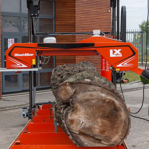 From Tree to Table: How M2 Furniture Transforms Local Trees